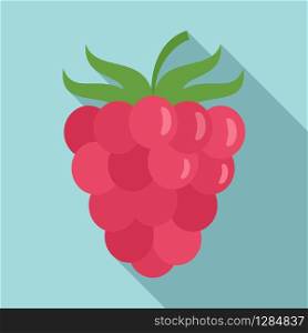 Raspberry icon. Flat illustration of raspberry vector icon for web design. Raspberry icon, flat style