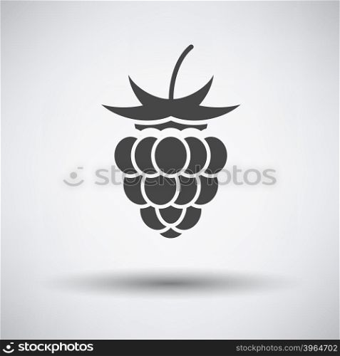 Raspberry icon on gray background with round shadow. Vector illustration.