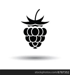 Raspberry icon. White background with shadow design. Vector illustration.