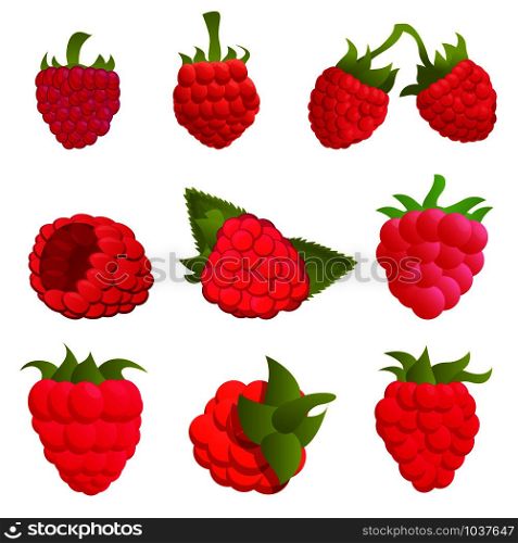 Raspberry icons set. Cartoon set of raspberry vector icons for web design. Raspberry icons set, cartoon style
