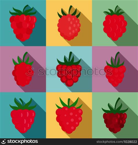 Raspberry icons set. Flat set of raspberry vector icons for web design. Raspberry icons set, flat style