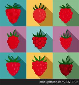 Raspberry icons set. Flat set of raspberry vector icons for web design. Raspberry icons set, flat style