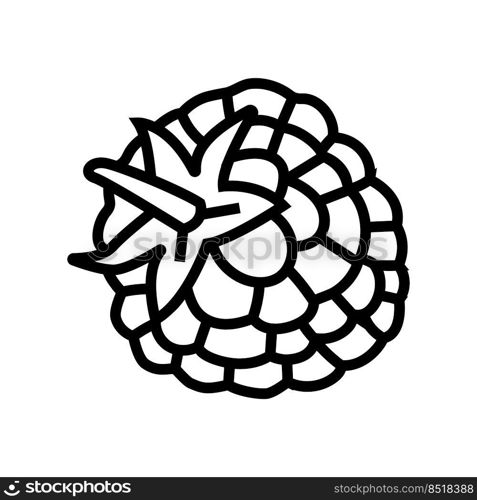 raspberry leaf berry line icon vector. raspberry leaf berry sign. isolated contour symbol black illustration. raspberry leaf berry line icon vector illustration