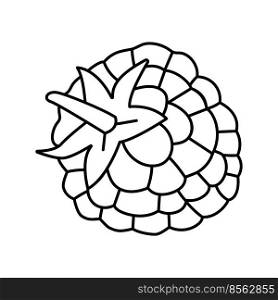 raspberry leaf berry line icon vector. raspberry leaf berry sign. isolated contour symbol black illustration. raspberry leaf berry line icon vector illustration