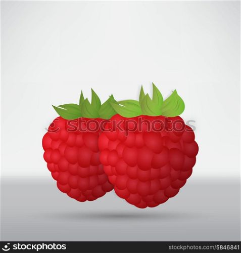 Raspberry on a white background