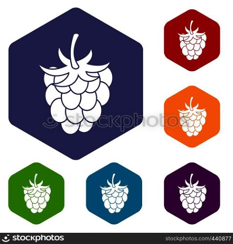 Raspberry or blackberry icons set hexagon isolated vector illustration. Raspberry or blackberry icons set hexagon