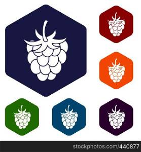 Raspberry or blackberry icons set hexagon isolated vector illustration. Raspberry or blackberry icons set hexagon