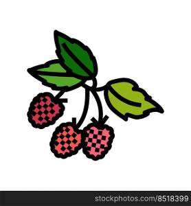 raspberry plant delicious color icon vector. raspberry plant delicious sign. isolated symbol illustration. raspberry plant delicious color icon vector illustration