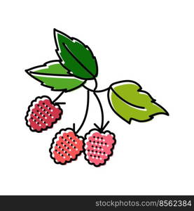 raspberry plant delicious color icon vector. raspberry plant delicious sign. isolated symbol illustration. raspberry plant delicious color icon vector illustration