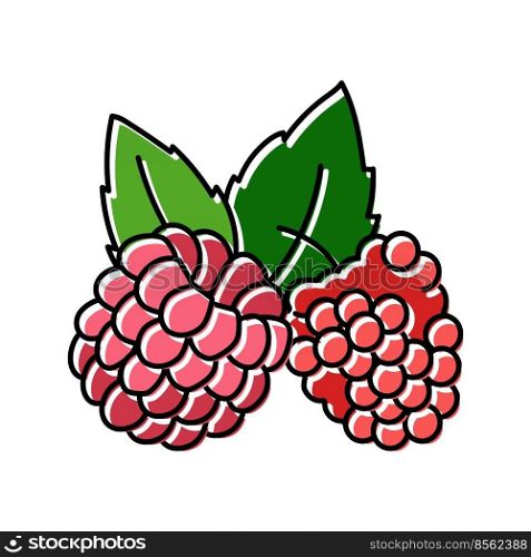 raspberry plant leaf fresh color icon vector. raspberry plant leaf fresh sign. isolated symbol illustration. raspberry plant leaf fresh color icon vector illustration