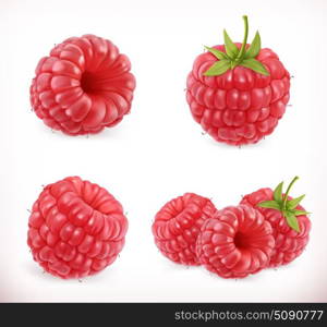 Raspberry. Sweet fruit. 3d vector icons set. Realistic illustration