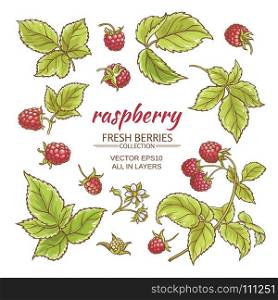 raspberry vector set. raspberry berries and leaves vector set on whte background