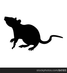 Rat icon .