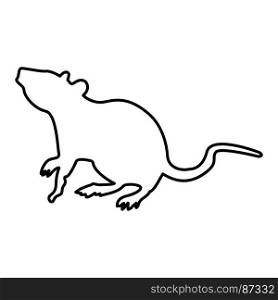 Rat icon .