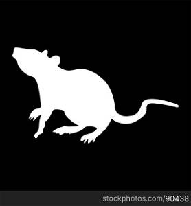 Rat white color icon .. Rat it is white color icon .