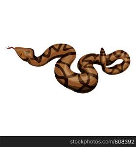 Rattlesnake icon. Cartoon of rattlesnake vector icon for web design isolated on white background. Rattlesnake icon, cartoon style