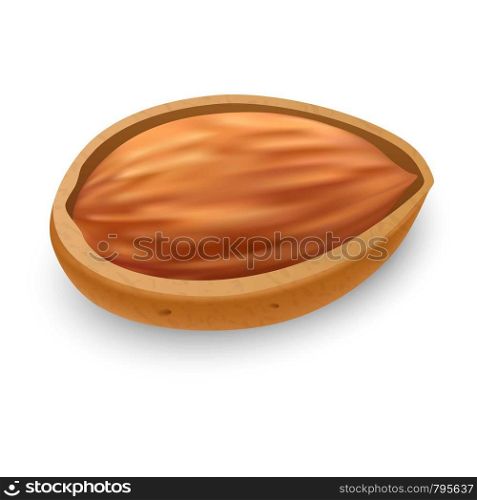 Raw almond icon. Realistic illustration of raw almond vector icon for web design. Raw almond icon, realistic style