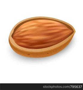 Raw almond icon. Realistic illustration of raw almond vector icon for web design. Raw almond icon, realistic style