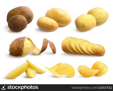 Raw and fried potato set of crude treated chopped and chips on white background realistic vector illustration . Raw And Fried Potato Realistic Set