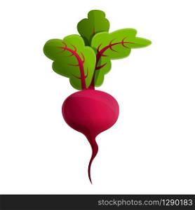 Raw beet icon. Cartoon of raw beet vector icon for web design isolated on white background. Raw beet icon, cartoon style
