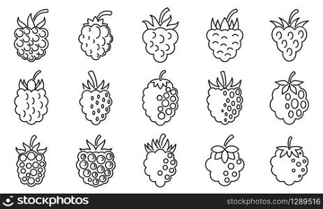 Raw blackberry icons set. Outline set of raw blackberry vector icons for web design isolated on white background. Raw blackberry icons set, outline style