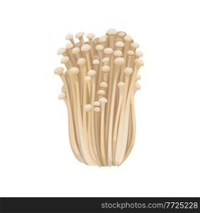 Raw isolated enoki mushrooms, gold needle enokitaki mushroom bunch on white background. Vector exotic fungi, organic asian food ingredient, gourme meal, asian cuisine delicacy fungus. Raw isolated enoki mushrooms gold needle enokitaki