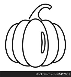 Raw pumpkin icon. Outline raw pumpkin vector icon for web design isolated on white background. Raw pumpkin icon, outline style