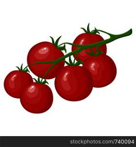 Raw Ripe Tomatoes on Branch isolated on white background. Fresh Red Cherry Tomato Vegetable. Label for Market. Organic Food. Cartoon Flat Style. Vector illustration for Your Design, Web.
