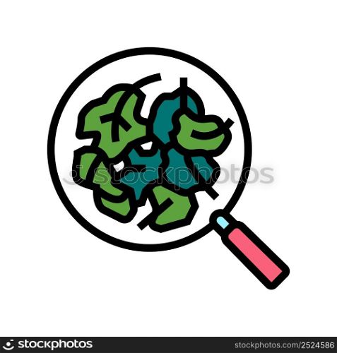 raw spinach color icon vector. raw spinach sign. isolated symbol illustration. raw spinach color icon vector illustration