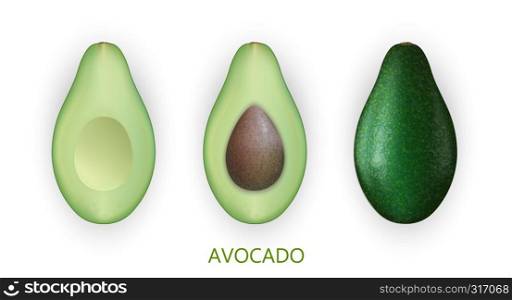 Realistic 3d avocado fruit isolated on white background. Cut pieces of avocado with seed. Vector Illustration. EPS 10