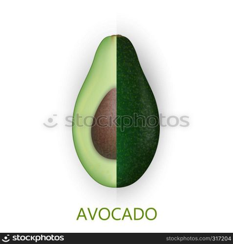 Realistic 3d avocado fruit isolated on white background. Cut pieces of avocado with seed. Vector Illustration. EPS 10