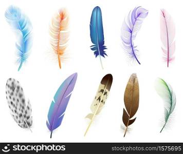 Realistic 3d feathers. Birds colored falling fluffy feathers, floating bird soft plumage feathers isolated vector icons set. Fluffy and plumage, feather falling illustration. Realistic 3d feathers. Birds colored falling fluffy feathers, floating bird soft plumage feathers isolated vector icons set