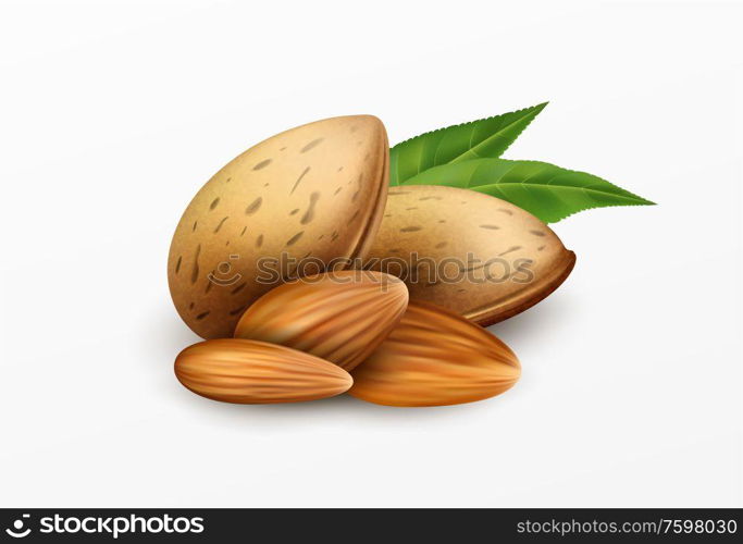 Realistic almonds with green leaves Isolated on a white background. Healthy eating concept. Vector illustration EPS10. Realistic almonds with green leaves Isolated on a white background. Healthy eating concept. Vector illustration