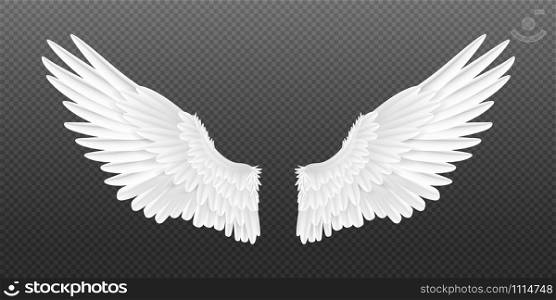 Realistic angel wings. White isolated pair of falcon wings, 3D bird wings design template. Vector concept white cute feathered wing animal on a transparent background. Realistic angel wings. White isolated pair of falcon wings, 3D bird wings design template. Vector concept