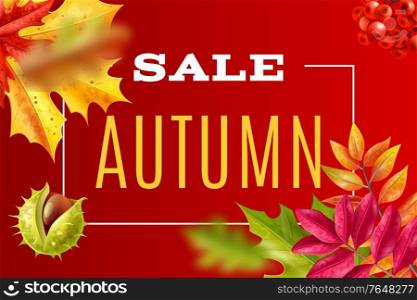 Realistic autumn leaves fall frame background with text surounded by images of leaves berries and cone vector illustration