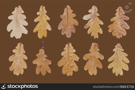 realistic autumn leaves for fabric design. texture decoration. Vector paint. Vector template collection. Nature background. Design element. Grain pattern.. realistic autumn leaves for fabric design. texture decoration. Vector paint. Vector template collection. Nature background. Design element. Grain pattern