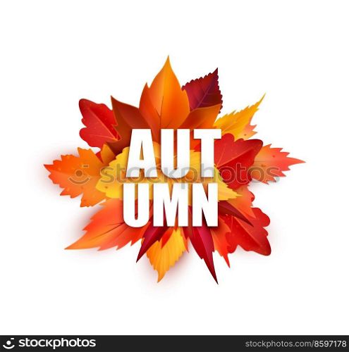 Realistic autumnal leaves, isolated vector round bunch of fallen maple, oak or birch tree foliage of red and yellow colors. Autumnal element for back to school, seasonal sale or thanksgiving holidays. Realistic autumnal leaves, isolated vector foliage