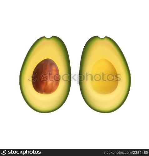 Realistic avocado. Tropical fruit. 3d illustration sectional view