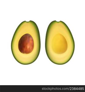 Realistic avocado. Tropical fruit. 3d illustration sectional view