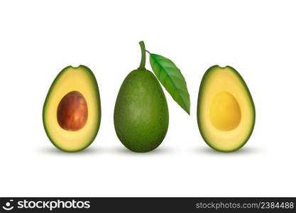 Realistic avocado. Tropical fruit. 3d illustration whole avocado and sectional view