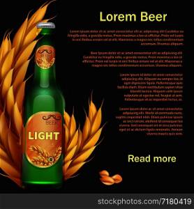 Realistic beer bottle and rye background or web page design. Vector illustration. Beer bottle and rye