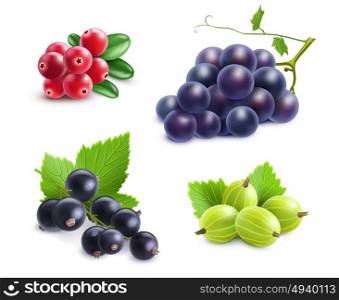 Realistic Berries Set. Realistic berries set with cranberry grape gooseberry and black currant on white background isolated vector illustration