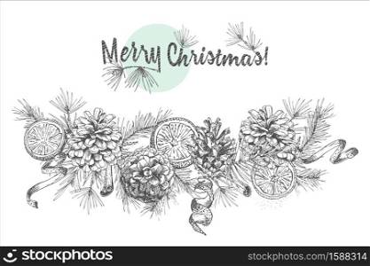 Realistic Botanical ink sketch of fir tree branches with pine cone isolated on white background. Good idea for design invitations, greeting postcards, label, sticker Vector illustrations. Realistic Botanical ink sketch of fir tree branches with pine cone isolated on white background. Good idea for design templates invitations, greeting cards. Vector illustrations