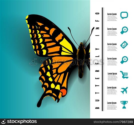 Realistic butterfly with elements Infographic Vector illustration of a top view. Realistic butterfly top view