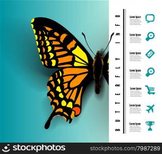 Realistic butterfly with elements Infographic Vector illustration of a top view. Realistic butterfly top view