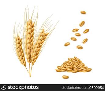 Realistic cereal wheat, oat and barley ears spikelets, spikes and grains. Isolated 3d vector agricultural product, delivering a satisfying breakfast experience and true essence of farm-fresh goodness. Realistic cereal wheat, oat and barley ears spikes