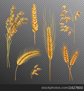 Realistic cereals set with rice, oats, spikelets of wheat and barley isolated on transparent background vector illustration. Realistic Cereals Transparent Background Set