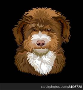 Realistic close up head of Australian shepherd dog. Vector colorful isolated illustration isolated on black background. For decoration, design, print, posters, postcards, stickers, tattoo, t-shirt. Portrait of Barbet French water dog close up vector illustration