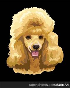 Realistic close up head of Poodle dog. Vector colorful isolated illustration isolated on black background. For decoration, design, print, posters, postcards, stickers, tattoo, t-shirt. Portrait of Poodle dog close up vector illustration