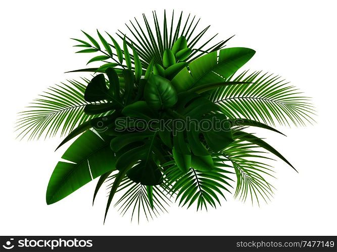Realistic composition with green leaves of different tropical plants on white background vector illustration